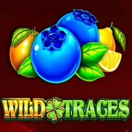 Official Slots logo: Wild Traces by Amusnet Interactive at Retrozino Casino